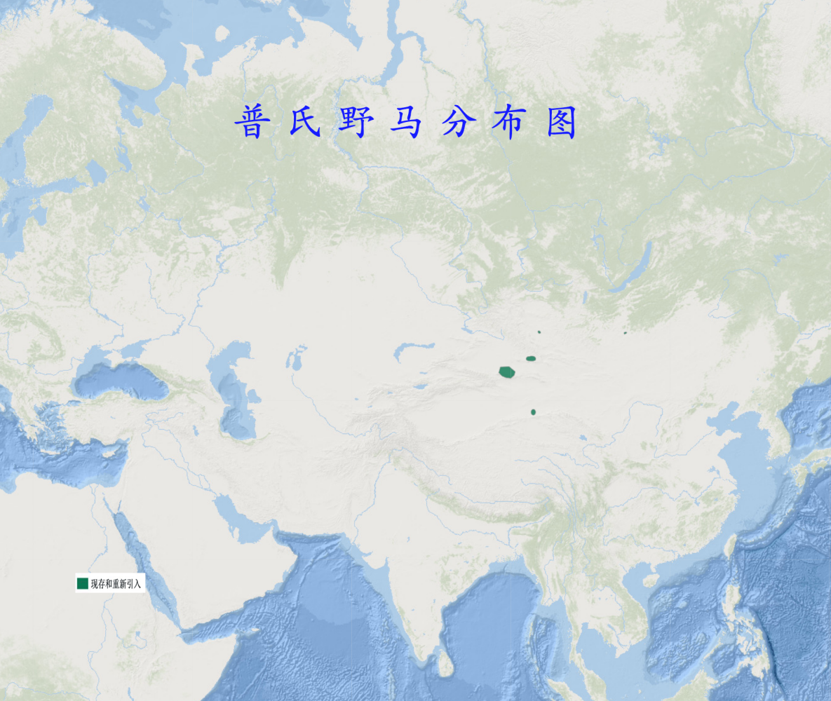 普氏野马分布图