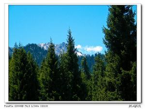 乌苏佛山国家森林公园