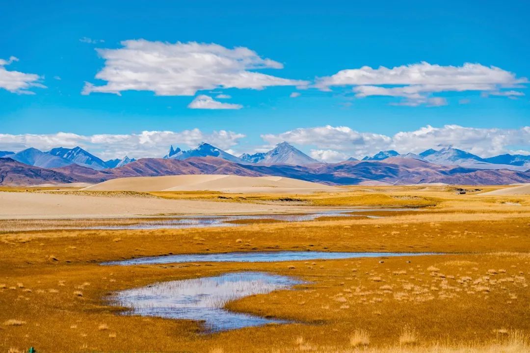 雅鲁藏布江江源区——由冰川融化形成的清浅水洼