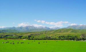 尼勒克县自然风光