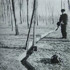 地震烈度Ⅶ度区