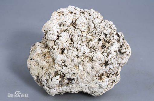 图6 白色龙涎香