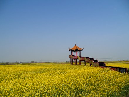 中国农谷·沙洋生态农业体验风情园