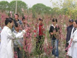 巴音郭楞职业技术学院