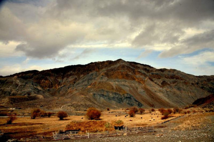 精河县三台林场秋色美景