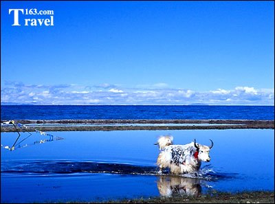 高原气候瞬息万变，时而狂风大作