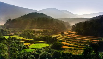 客店镇农田风景