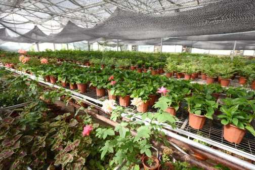 克孜勒苏职业技术学院温室大棚