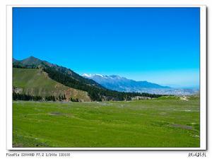 乌苏佛山国家森林公园