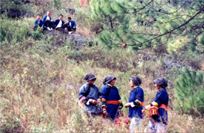 赶鸟节对唱情歌