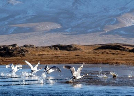 巴音布鲁克草原