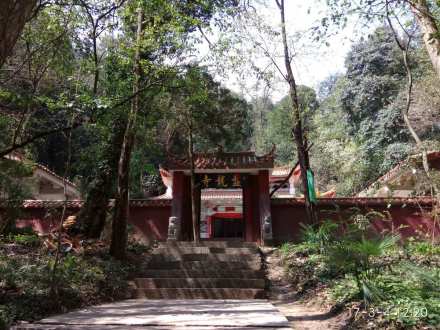 新平新化古州野林