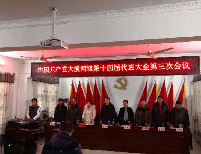大溪河镇第十届代表大会第三次会议