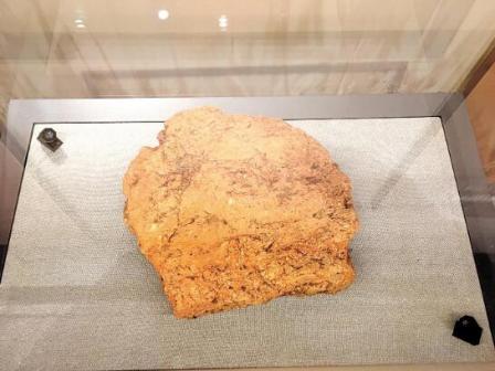 长江中游第一次发现史前稻作遗存