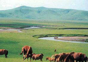 长毛岭野鹿驯旅游区