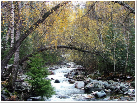 哈日图热格国家森林公园