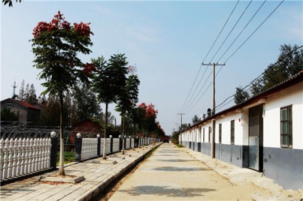 柴湖镇新农村建设