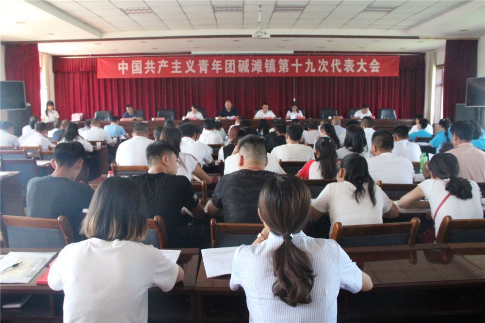 中国共产主义青年团碱滩镇第十九次代表大会