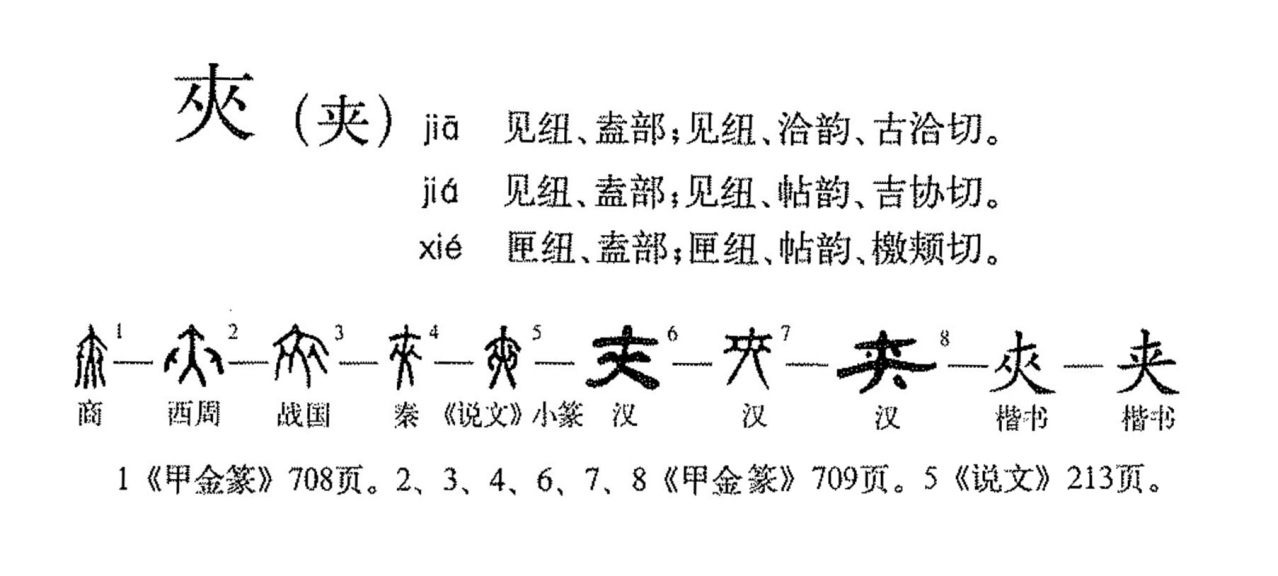 字形演变流程图（文中出现序号参照此图所示文字） 
