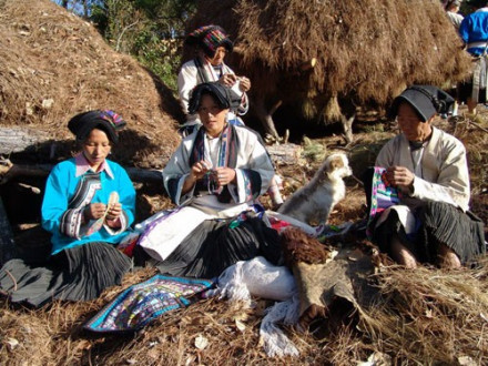 图4 彝族分支他留人