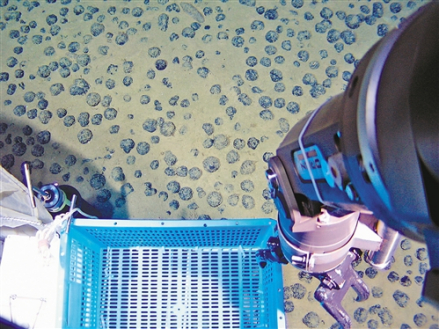 “蛟龙”号拍摄到的海底铁锰结核