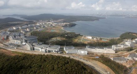 滨海边疆区俄罗斯岛产业集群