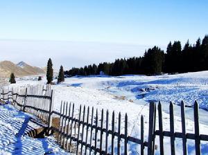 乌苏佛山国家森林公园