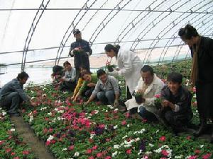 巴音郭楞职业技术学院