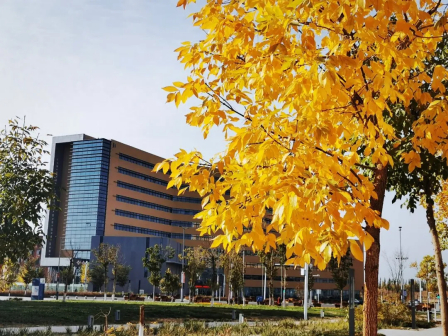 中国石油大学（北京）克拉玛依校区校园风光