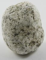 图4 灰色龙涎香