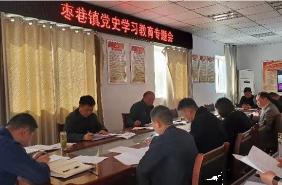 枣巷镇党史学习教育专题会