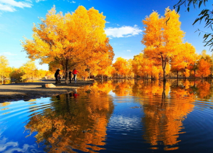 胡杨林自然保护区风光