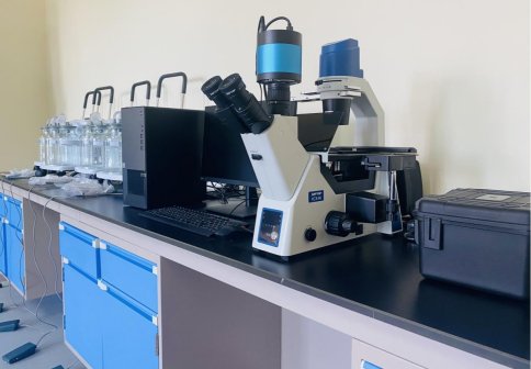 细胞培养室的倒置荧光显微镜