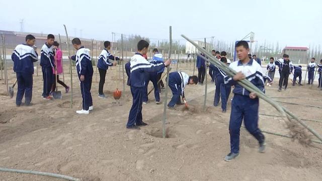 靖安乡学生植树活动