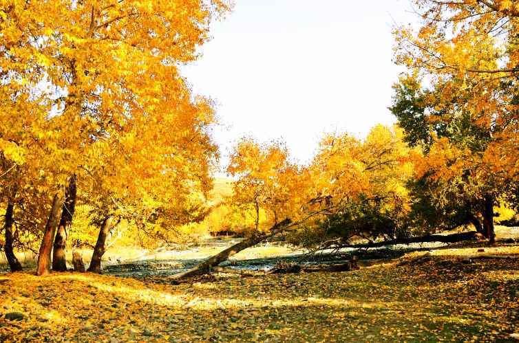 新疆巴尔鲁克山国家级自然保护区–裕民县布尔干河景色