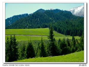 乌苏佛山国家森林公园