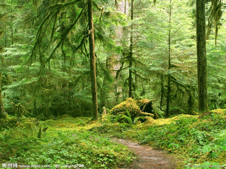 贾登峪国家森林公园