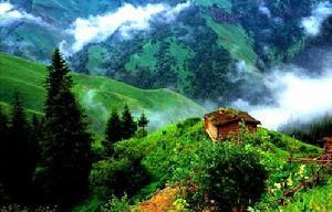 那拉提国家森林公园