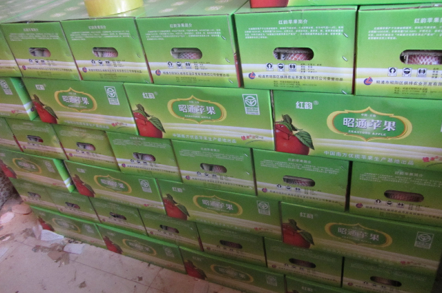 昭通苹果