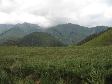 阿力麻里城遗址