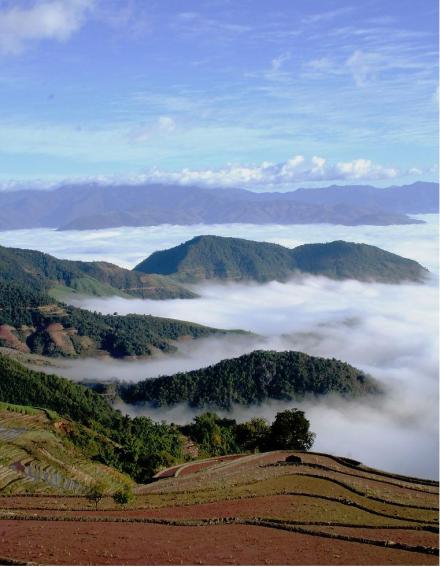 元江云海梯田