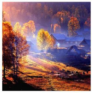 白哈巴国家森林公园