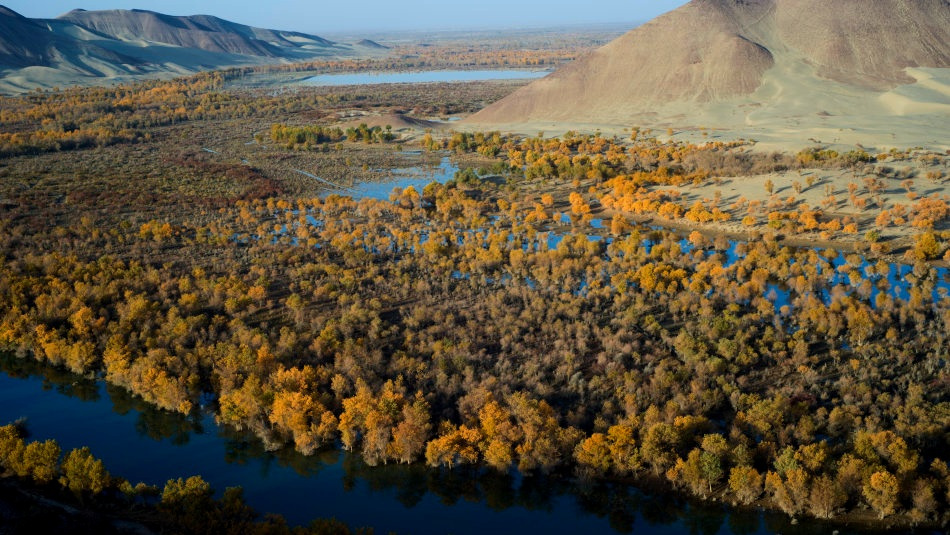 位于塔里木河上游沙雅县一段