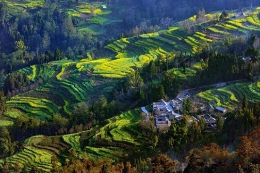 回龙茶产地环境