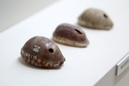 阿文授贝     商代