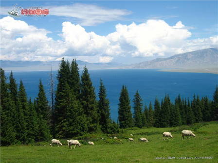 赛里木湖风景图