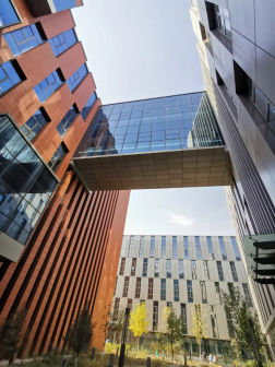 中国石油大学（北京）克拉玛依校区校园风光