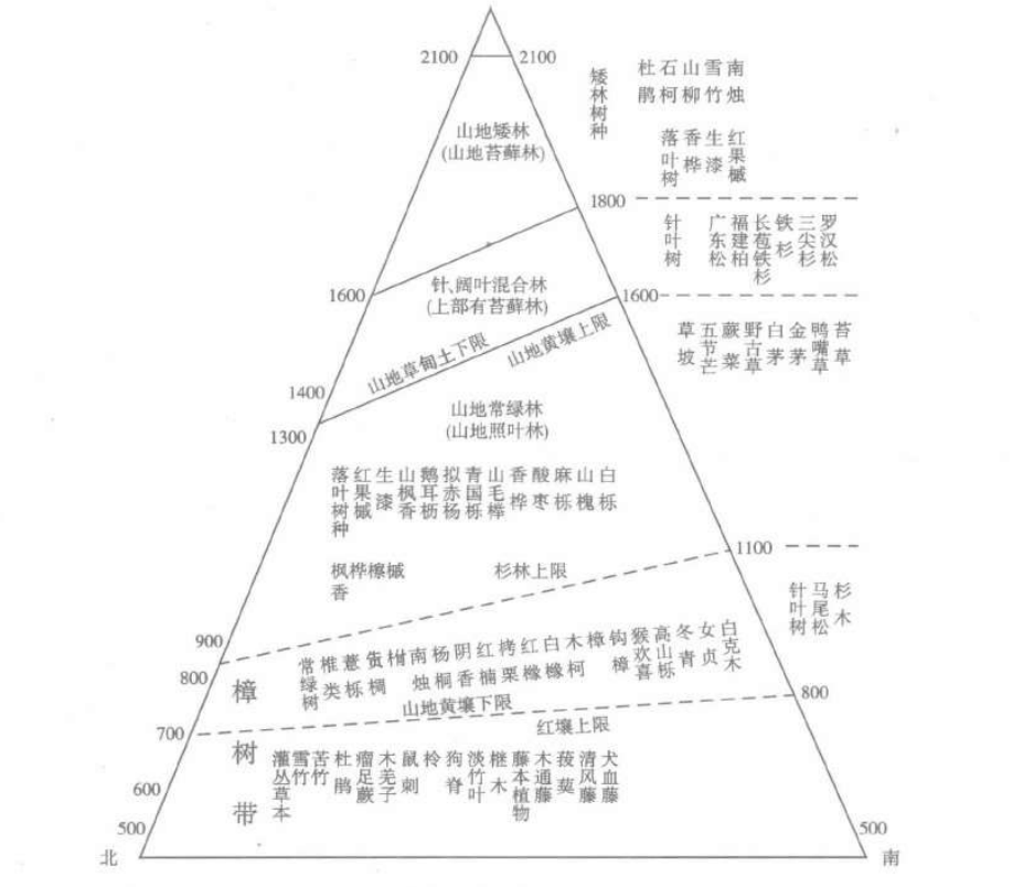 南岭山地植物、土壤直垂分布示意图