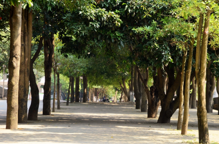 长岗校区校道