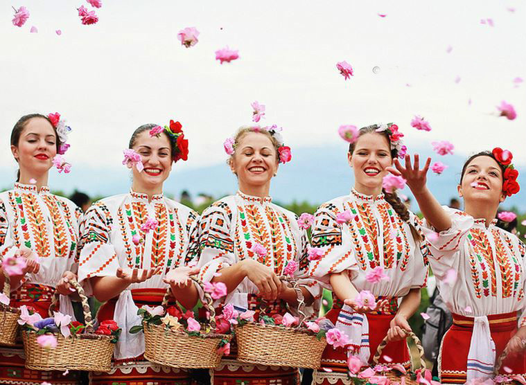 突厥蔷薇 突厥蔷薇
